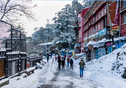 Shimla