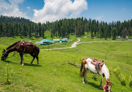 Gulmarg, Sonmarg & Pahalgam – 9 Days from Chandigarh