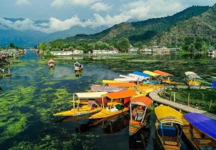 Jammu to Kashmir – The Valley Experience