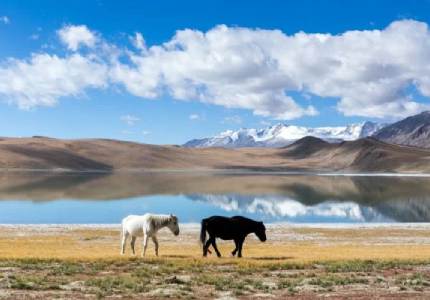 Leh Ladakh Explorer – 9-Day Journey
